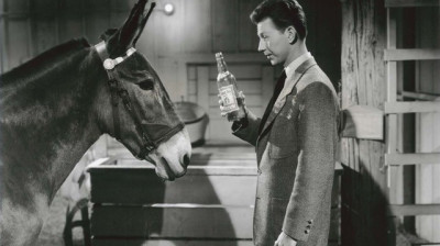 Francis Il Mulo Parlante