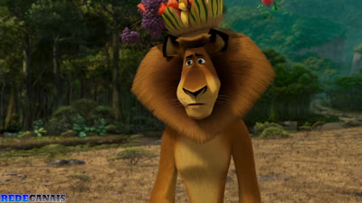 Madagascar 2 | by @renanmc7