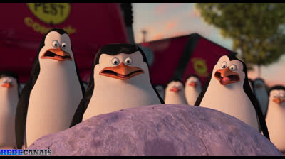 Os Pinguins de Madagascar  | by @renanmc7