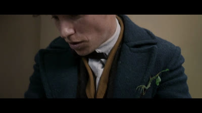 Animais Fantásticos e Onde Habitam