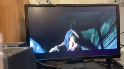 Max Payne (2009 DVD)