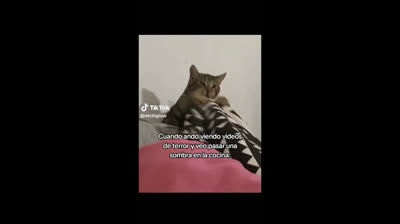 YO CUANDO VEO PELICULAS DE TERROR??❤️❤️❤️❤️❤️