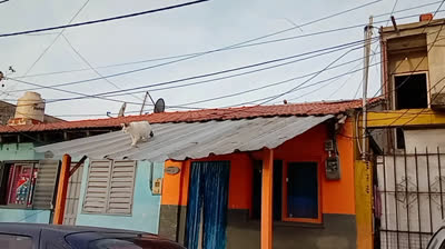 Novia Cumbianchera Piensa en mí canta Giselle Romina Castillo Vargas