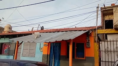 PIENSA EN MI (CUMBIA)