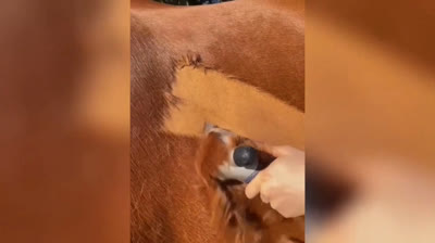 Vídeo Satisfatório 002