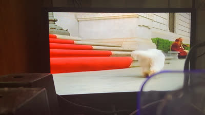 Stuart Little 2 (2002 VHS)