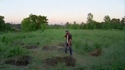 twd temp 1 cap 4