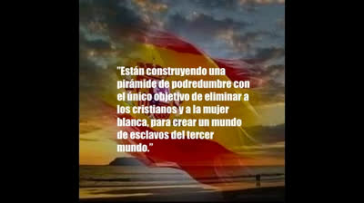 ¡Verdades como puños!