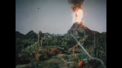 01 Born Free - Nasce il Born Free