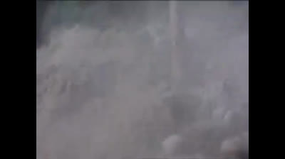 07 Born Free - Un cucciolo smarrito