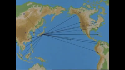 11 Born Free - Lo stegosauro impazzito