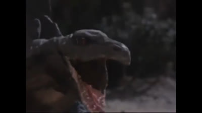 12 Born Free - Il mio amico dinosauro