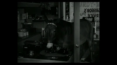 Congiura Al Castello 1956