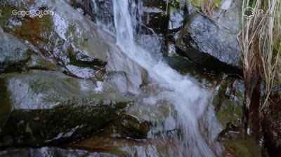 [BL] Takara’s Treasure 1 VOSTFR