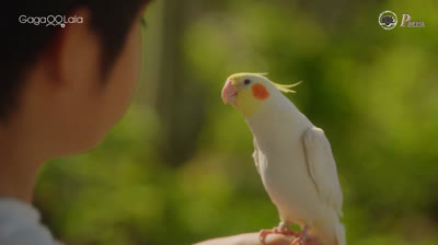 [BL] Takara’s Treasure 4 VOSTFR