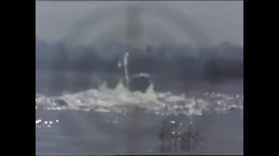 18 Born Free - La vendetta di Lady