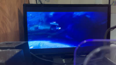 Pirates of The Caribbean: The Curse of The Black Pearl (2003 VHS)