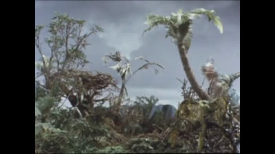 20 Born Free - Il gigantesco tirannosauro