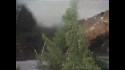 21 Born Free - Il piccolo Tommy