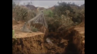 22 Born Free - Combatti, piccolo!