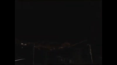 24 Born Free - iI paradiso dei dinosauri