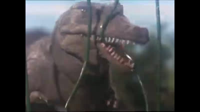 25 Born Free - La riserva