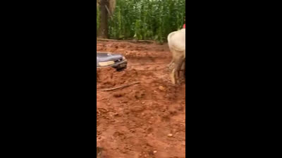 +2348125909477 i need instant death spell caster