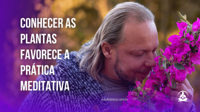 Conhecer as plantas favorece a Prática Meditativa - Meditantes PodCast #35