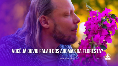 Você já ouviu falar dos Aromas da Floresta? - Meditantes PodCast #35