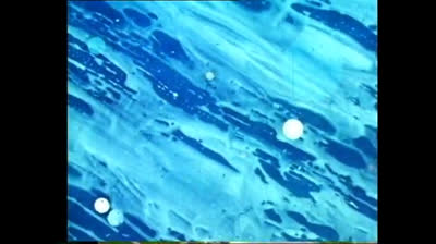 46 il pianeta vivente