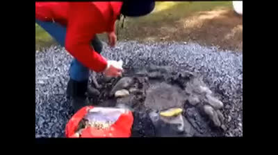 feu par friction cheminée ossaloise Lades Neffous