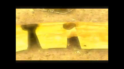 feu par friction cheminée ossaloise avec épicéa Lades Neffous