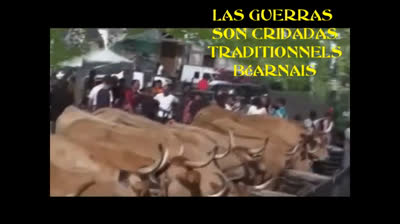 las guerras son cridadas Abelle Lades Neffous