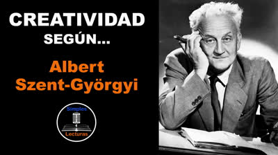 Albert Szent Györgyi · Creatividad - 37