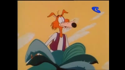 Kwicky Koala 02 Robinson Caruso