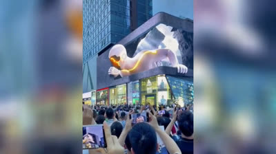 Vídeo Satisfatório 004