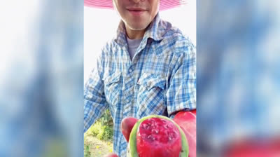 Vídeo Satisfatório 005