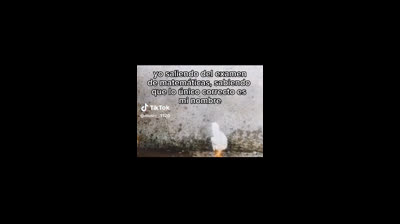 YO EN EL EXAMEN??????????????????????????????????