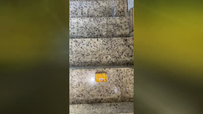 Vídeo Satisfatório 005