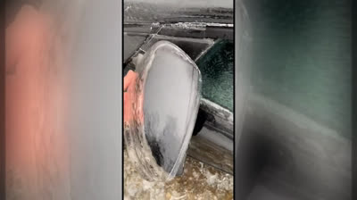 Vídeo Satisfatório 008