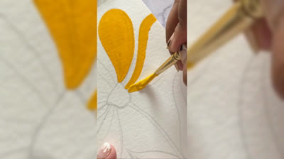 Vídeo Satisfatório 012