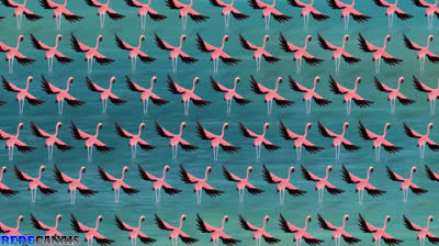 A Guarda do Leão - 3 Temp Ep 62