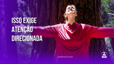 Isso exige uma Atenção Direcionada - Meditantes PodCast #45