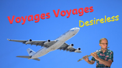 Voyages voyages - Desireles - cover flûte