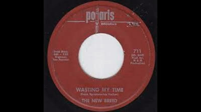 NEW BREED (1966) - Wasting My Time