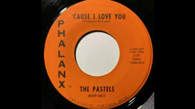 Pastels (1966) - Cause I Love You