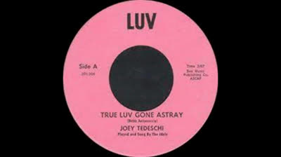 Idols (1967) - True Luv Gone Astray