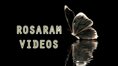 Entre el Cielo y el Recuerdo: 'Visiting Hours' de Ed Sheeran - VÍDEOS ROSARAM N; 326