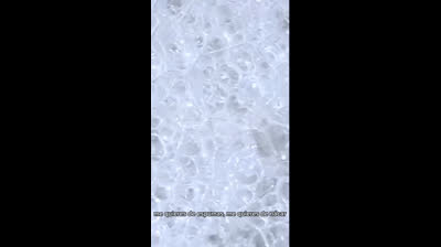 Alfonsina Storni - Modernismo