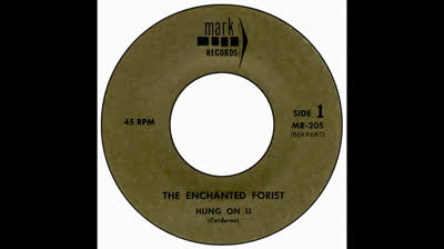 Enchanted Forist (1966)- Hung On U
